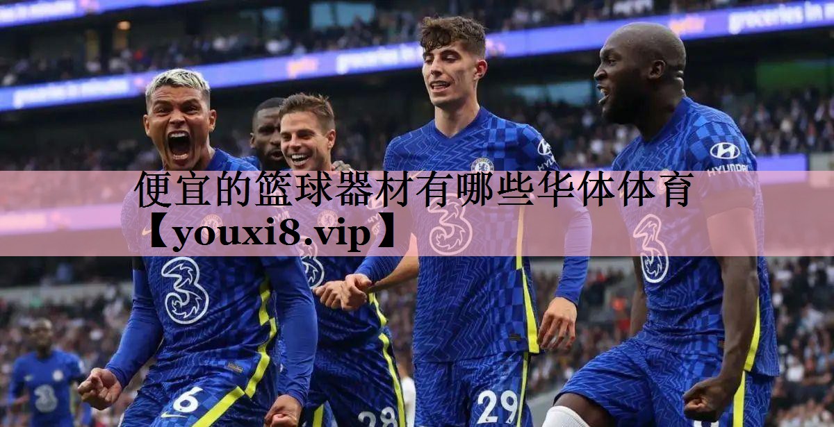 便宜的篮球器材有哪些华体体育